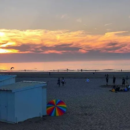 Front De Mer-le Cocon Du Dragon-classe 3 Etoiles * Calais