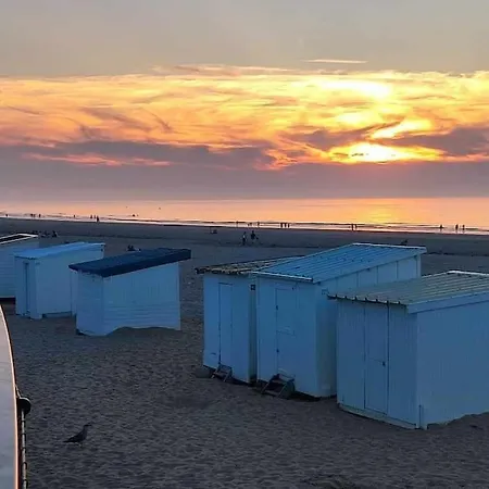 Apartment Front De Mer-le Cocon Du Dragon-classe 3 Etoiles *