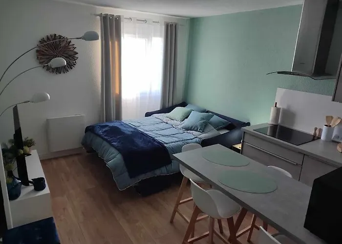 公寓 Front De Mer-le Cocon Du Dragon-classe 3 Etoiles